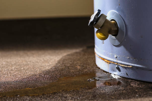 Best Flooded house restoration  in Winnemucca, NV