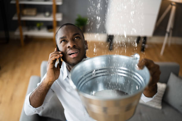 Best 24-hour water damage restoration  in Winnemucca, NV