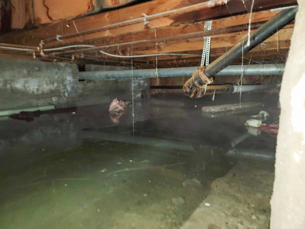 Best Water damage restoration near me  in Winnemucca, NV