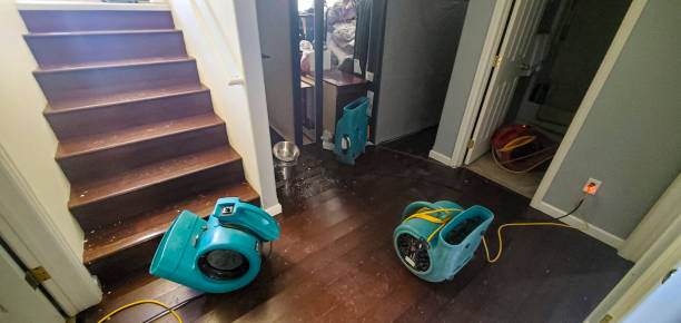 Best Flood restoration services  in Winnemucca, NV