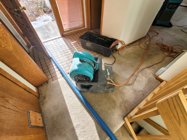 Best Flood damage cleanup  in Winnemucca, NV
