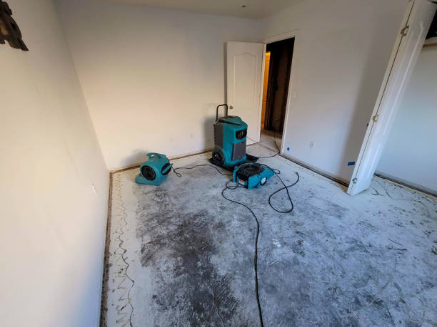 Best Fire Damage Restoration  in Winnemucca, NV