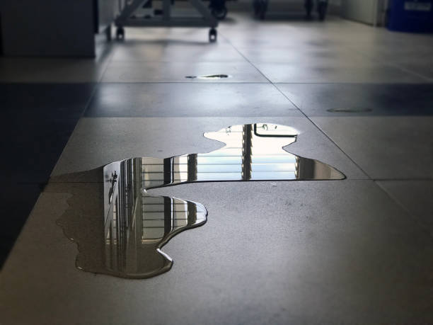 Best 24/7 water damage repair  in Winnemucca, NV
