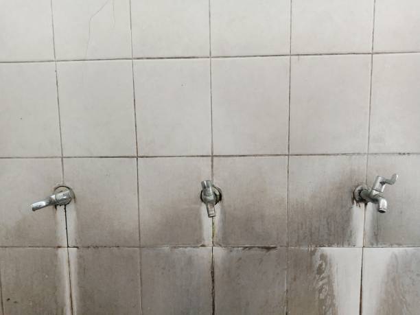 Best Carpet water damage restoration  in Winnemucca, NV