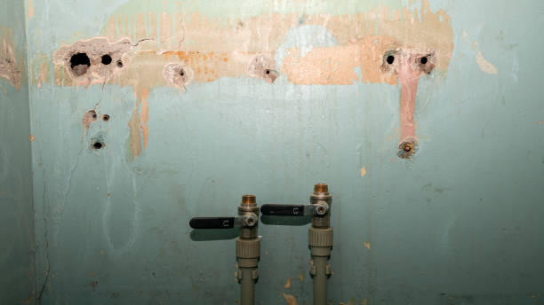 Best Water damage cleanup near me  in Winnemucca, NV