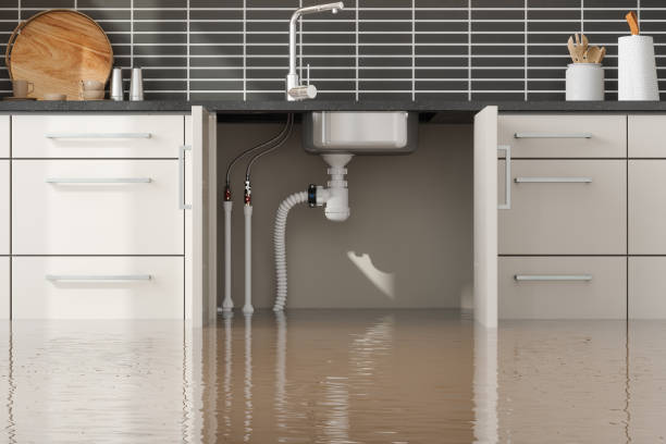 Best Flood restoration services  in Winnemucca, NV