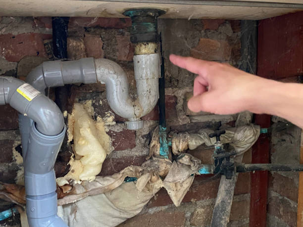 Best Ceiling water damage repair  in Winnemucca, NV