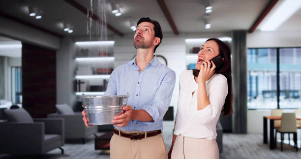 Best 24-hour water damage restoration  in Winnemucca, NV