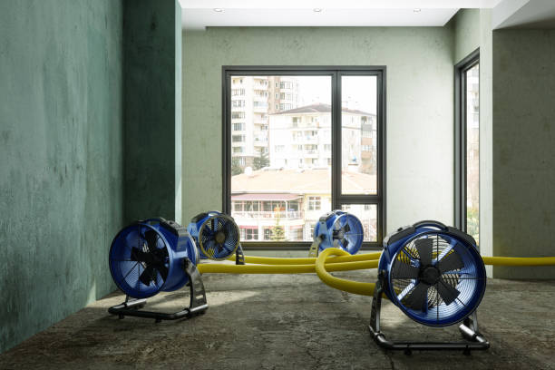 Best Local water damage restoration  in Winnemucca, NV