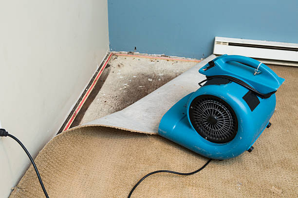 Best Emergency water damage restoration  in Winnemucca, NV